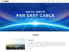 遠(yuǎn)東電纜案例